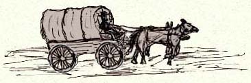 wagon